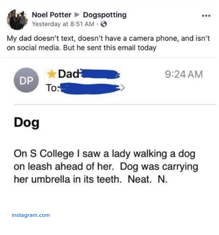 dad meme - medial prefrontal cortex rat - Noel Potter Dogspotting Yesterday at My dad doesn't text, doesn't have a camera phone, and isn't on social media. But he sent this email today Dad Dp To Dog On S College I saw a lady walking a dog on leash ahead o