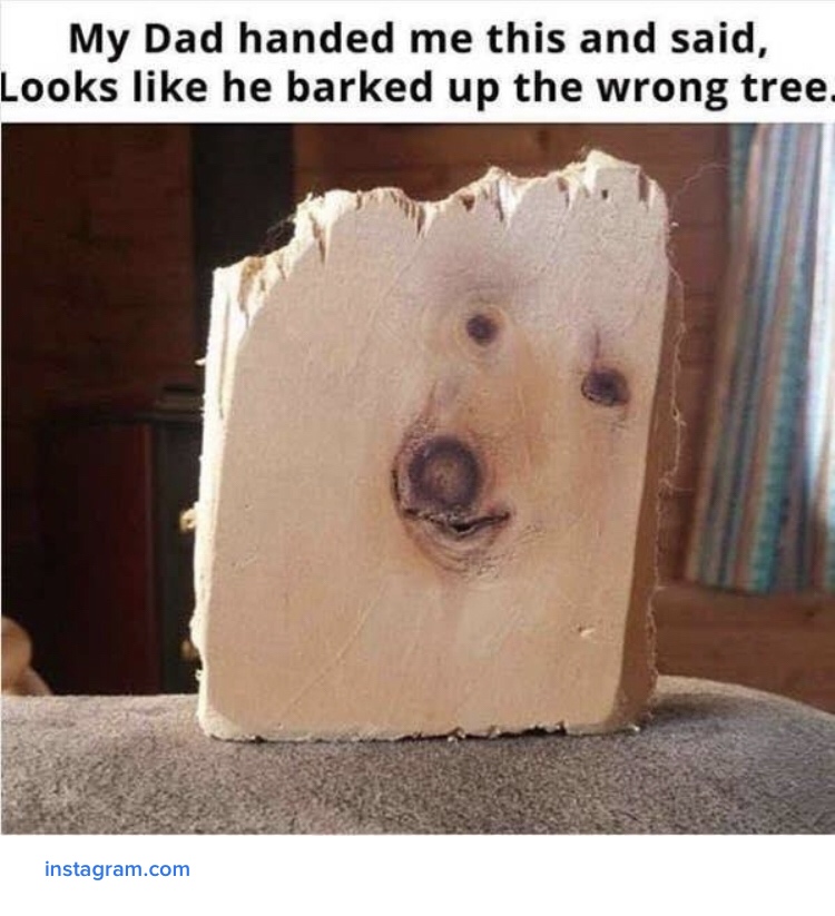 dad meme - meme mang - My Dad handed me this and said, Looks he barked up the wrong tree. instagram.com