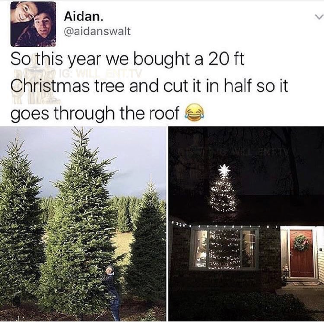 christmas meme - 20 ft christmas tree cut in half - Aidan. So this year we bought a 20 ft Christmas tree and cut it in half so it goes through the roof