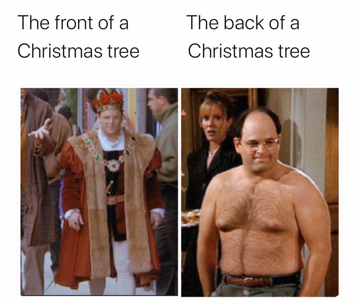 christmas meme - human - The front of a Christmas tree The back of a Christmas tree