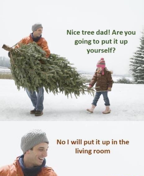 christmas meme - nice tree dad are you going to put it up yourself - Nice tree dad! Are you going to put it up yourself? No I will put it up in the living room