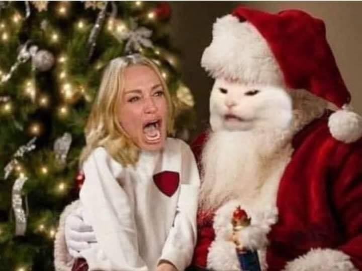 Woman yelling at a cat - santa claus - white cat - cat eating salad - smudge lord - meme - funny meme - dank meme - 2019