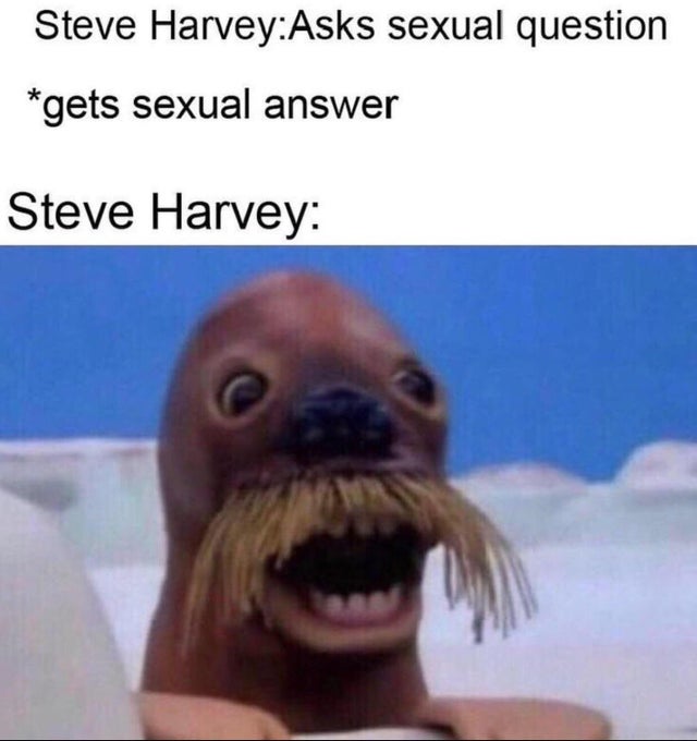 steve harvey memes - Steve HarveyAsks sexual question gets sexual answer Steve Harvey