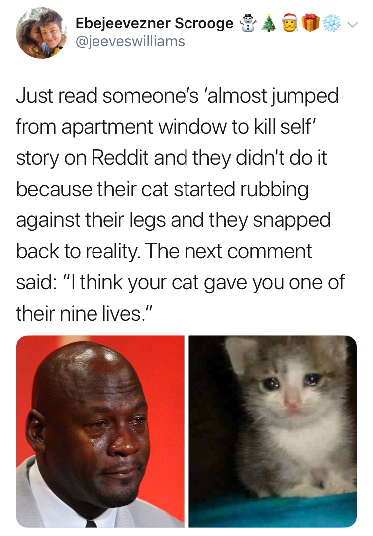 think your cat gave you one - Ebejeevezner Scrooge A Just read someone's 'almost jumped from apartment window to kill self' story on Reddit and they didn't do it because their cat started rubbing against their legs and they snapped back to reality. The ne