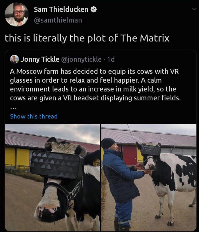 vr for cows - Sam Thielducken this is literally the plot of The Matrix Jonny Tickle . 1d A Moscow farm has decided to equip its cows with Vr glasses in order to relax and feel happier. A calm environment leads to an increase in milk yield, so the Cows are