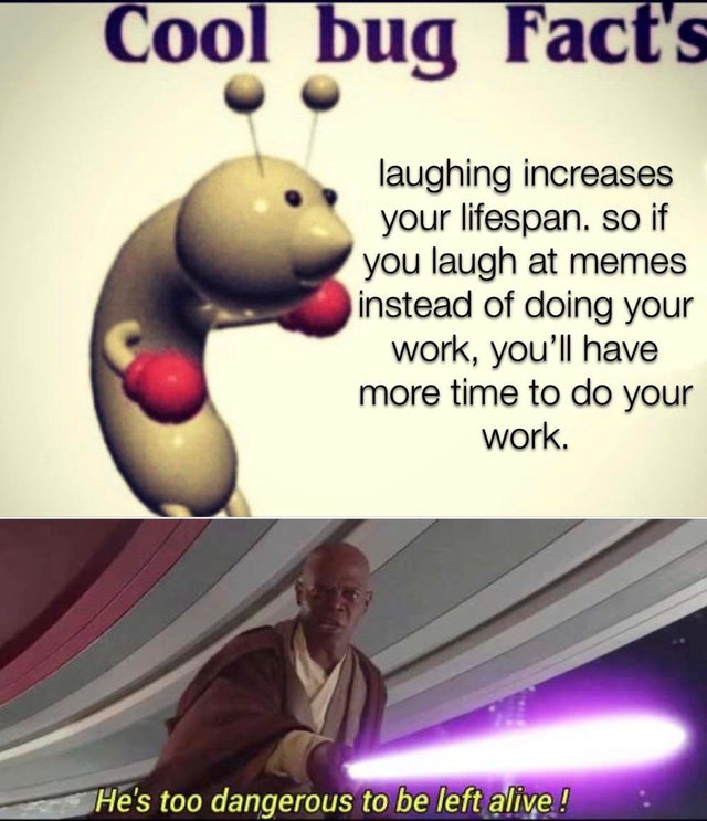 Internet meme - Cool bug Fact's laughing increases your lifespan. so if you laugh at memes instead of doing your work, you'll have more time to do your work. He's too dangerous to be left alive!