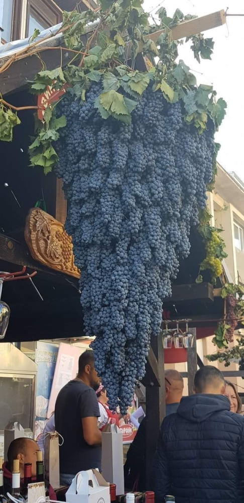 A massive cluster of grapes at a wine bar.
