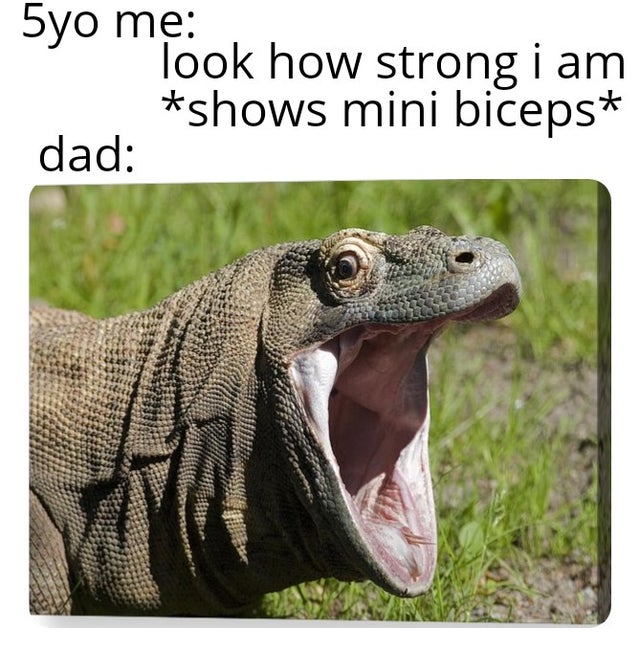 komodo dragon mouth open - 5yo me look how strong i am shows mini biceps dad