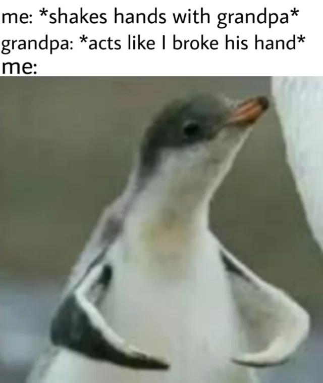 fuk u gonna do fite me - me shakes hands with grandpa grandpa acts I broke his hand me