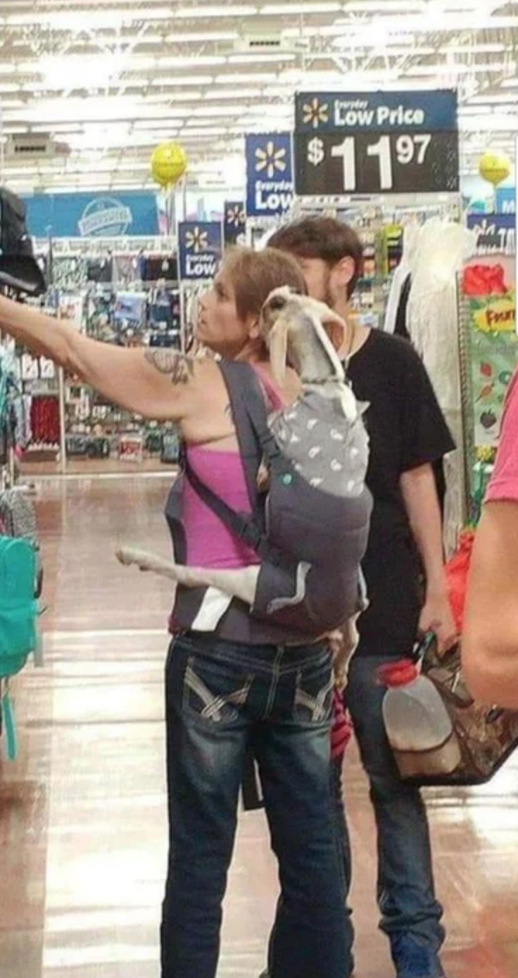 lady with goat in walmart - > Low Price $ 1197