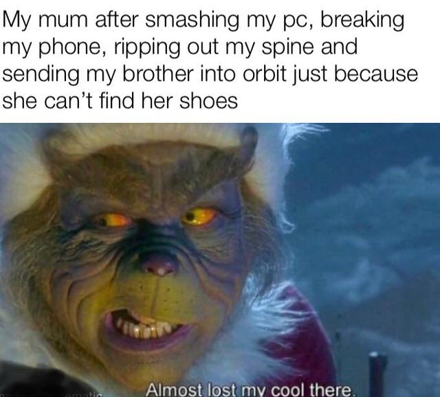 Internet meme - My mum after smashing my pc, breaking my phone, ripping out my spine and sending my brother into orbit just because she can't find her shoes Almost lost my cool there.