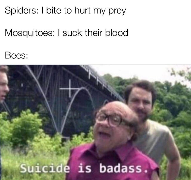 suicide is badass meme - Spiders I bite to hurt my prey Mosquitoes I suck their blood Bees Suicide is badass.