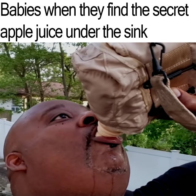 apple juice under the sink meme - Babies when they find the secret apple juice under the sink