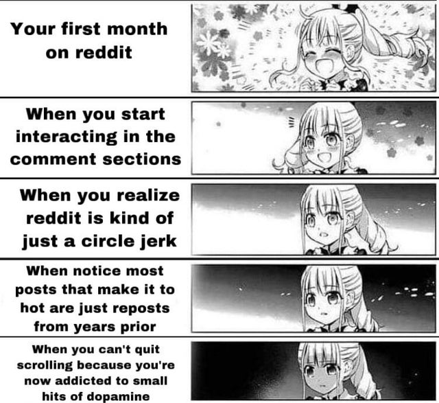 made in abyss meme - Your first month on reddit When you start interacting in the comment sections When you realize reddit is kind of just a circle jerk When notice most posts that make it to hot are just reposts from years prior When you can't quit scrol