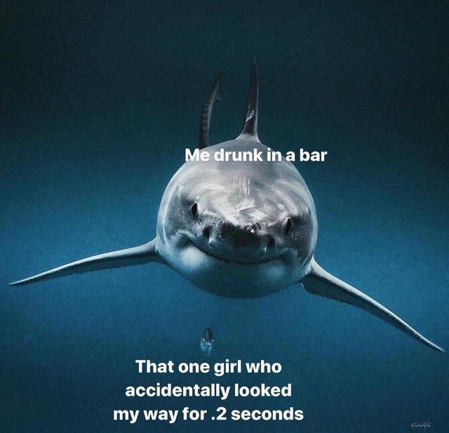 me drunk in a bar meme - Me drunk in a bar That one girl who accidentally looked my way for .2 seconds Freire