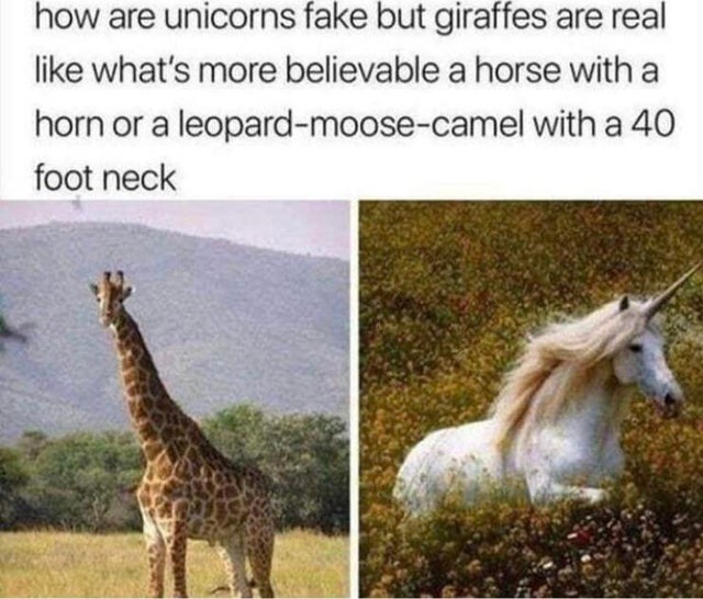 leopard moose camel with a 40 foot neck - how are unicorns fake but giraffes are real what's more believable a horse with a horn or a leopardmoosecamel with a 40 foot neck