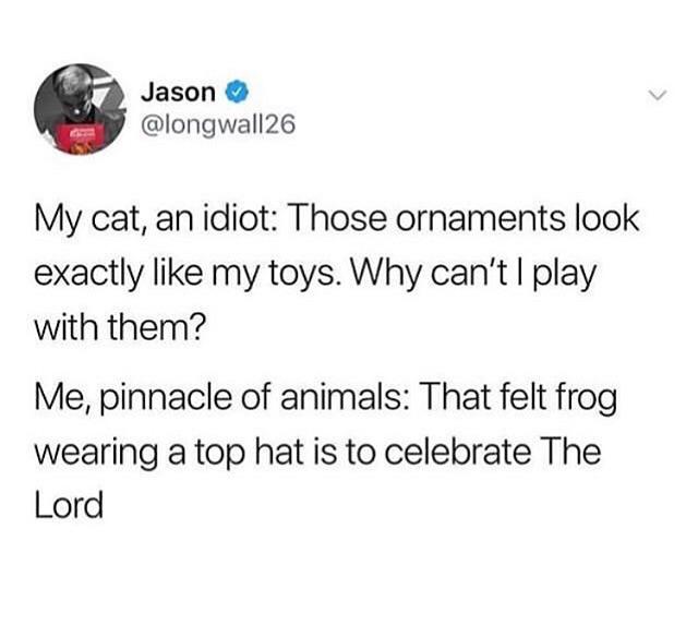felt frog with top hat - Jason My cat, an idiot Those ornaments look exactly my toys. Why can't I play with them? Me, pinnacle of animals That felt frog wearing a top hat is to celebrate The Lord