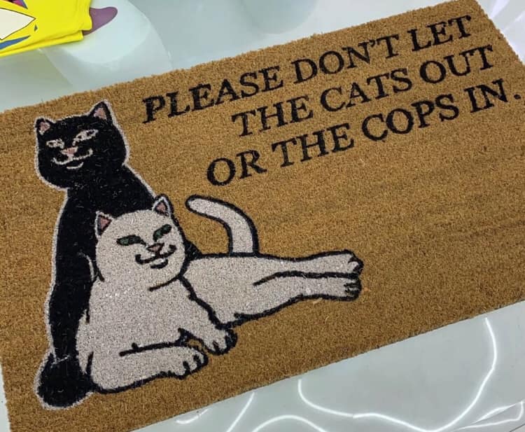 mat - Please Don'T Let The Cats Out Or The Cops In.