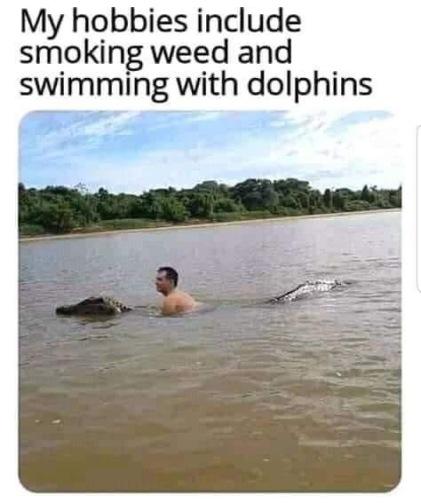 my hobbies include smoking weed and swimming - My hobbies include smoking weed and swimming with dolphins
