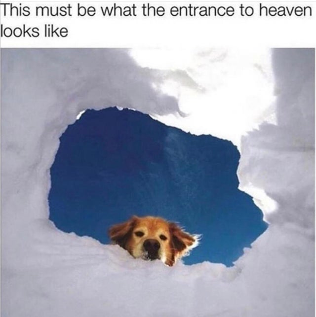 meme - entrance to heaven looks like - This must be what the entrance to heaven looks