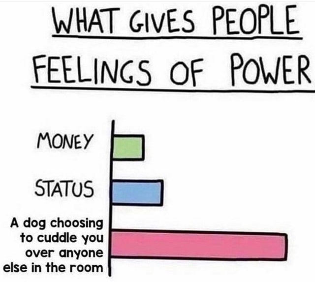 meme - gives people feelings of power - What Gives People Feelings Of Power Money Status A dog choosing to cuddle you over anyone else in the room