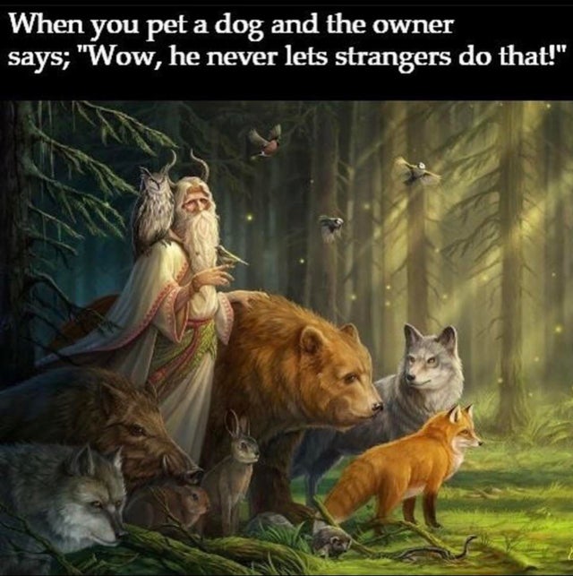 meme - forest keeper - When you pet a dog and the owner says; "Wow, he never lets strangers do that!"