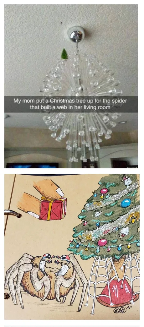 meme - jewellery - My mom put a Christmas tree up for the spider that built a web in her living room
