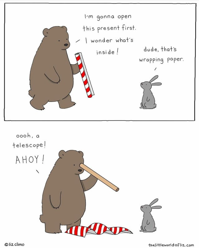 meme - love liz climo - I'm gonna open this present first. I wonder what's inside! dude, that's wrapping paper. oooh, a telescope! A Hoy! 2N liz climo thelittleworld of liz.com