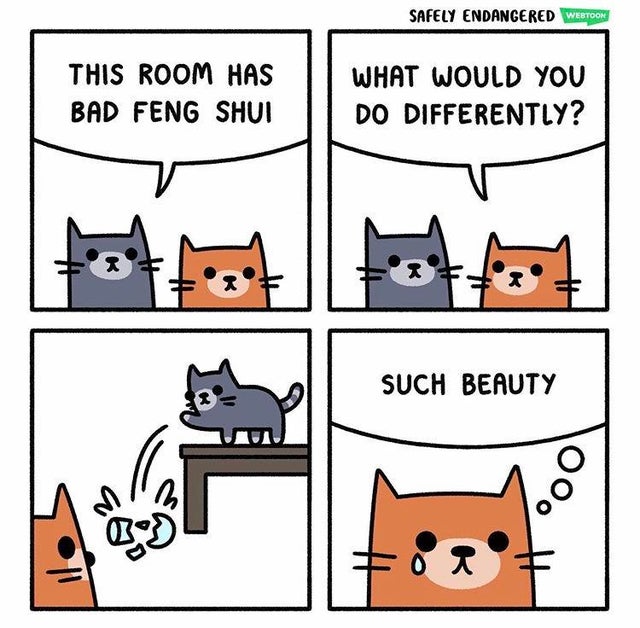 meme - cat feng shui comic - Safely Endangered Webtoon This Room Has Bad Feng Shui What Would You Do Differently? Such Beauty
