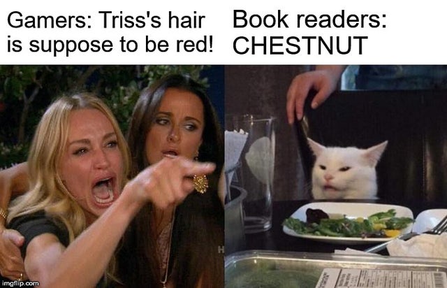 the witcher meme - woman yelling at cat boomer - Gamers Triss's hair Book readers is suppose to be red! Chestnut imgflip.com