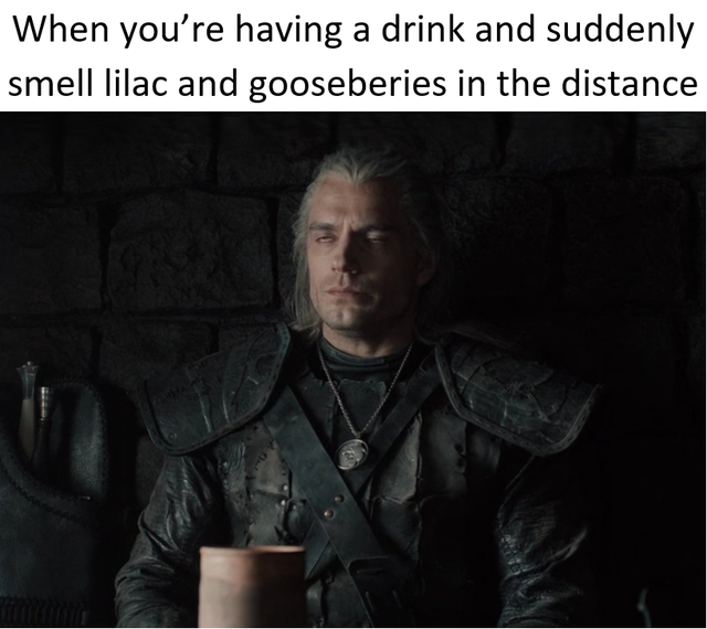 the witcher meme - photo caption - When you're having a drink and suddenly smell lilac and gooseberies in the distance