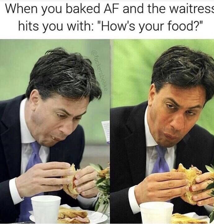 hilarious memes funny - When you baked Af and the waitress hits you with "How's your food?"