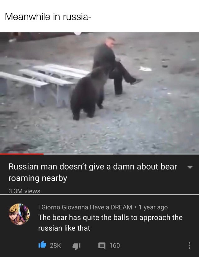 dank meme - photo caption - Meanwhile in russia Russian man doesn't give a damn about bear roaming nearby 3.3M views I Giorno Giovanna Have a Dream 1 year ago The bear has quite the balls to approach the russian that id 28K 41 E 160