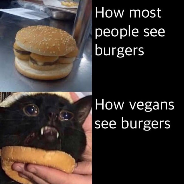 dank meme - meme burgers - How most people see burgers How vegans see burgers