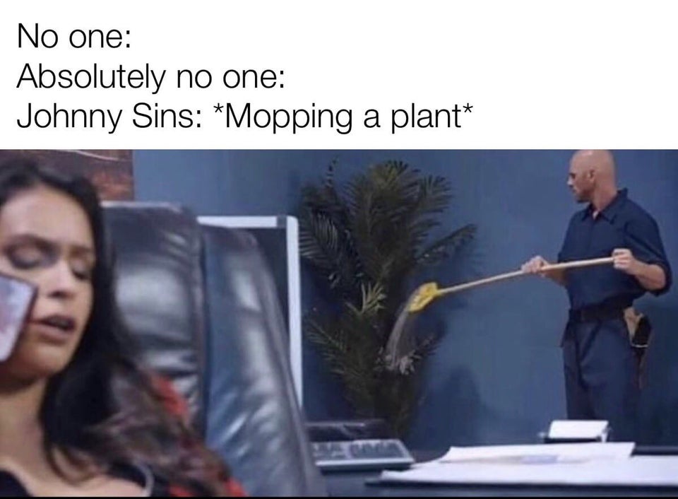 johnny sins mopping plant meme - No one Absolutely no one Johnny Sins Mopping a plant