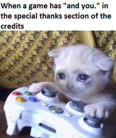 best meme - crying cat playing video games - When a game has "and you." in the special thanks section of the credits Re