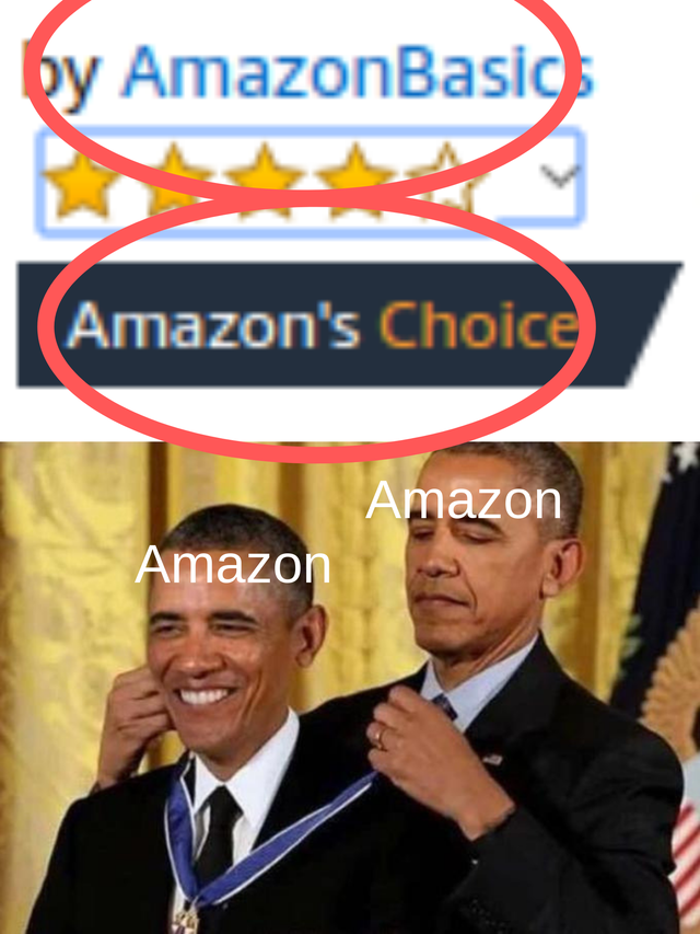 best meme - amazonbasics amazon choice meme - by AmazonBasic Amazon's Choice Amazon Amazon