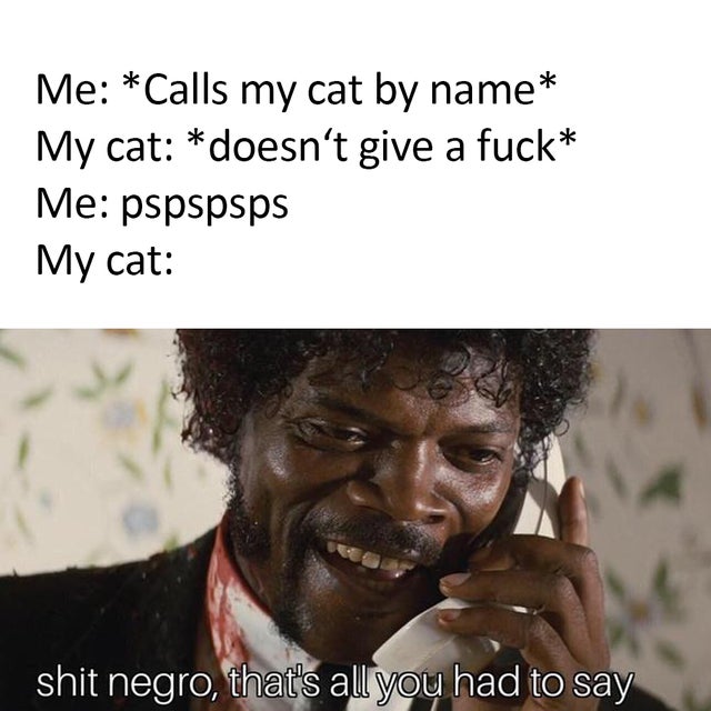 best meme - suck my star spangled ding dongs - Me Calls my cat by name My cat doesn't give a fuck Me pspspsps My cat shit negro, that's all you had to say