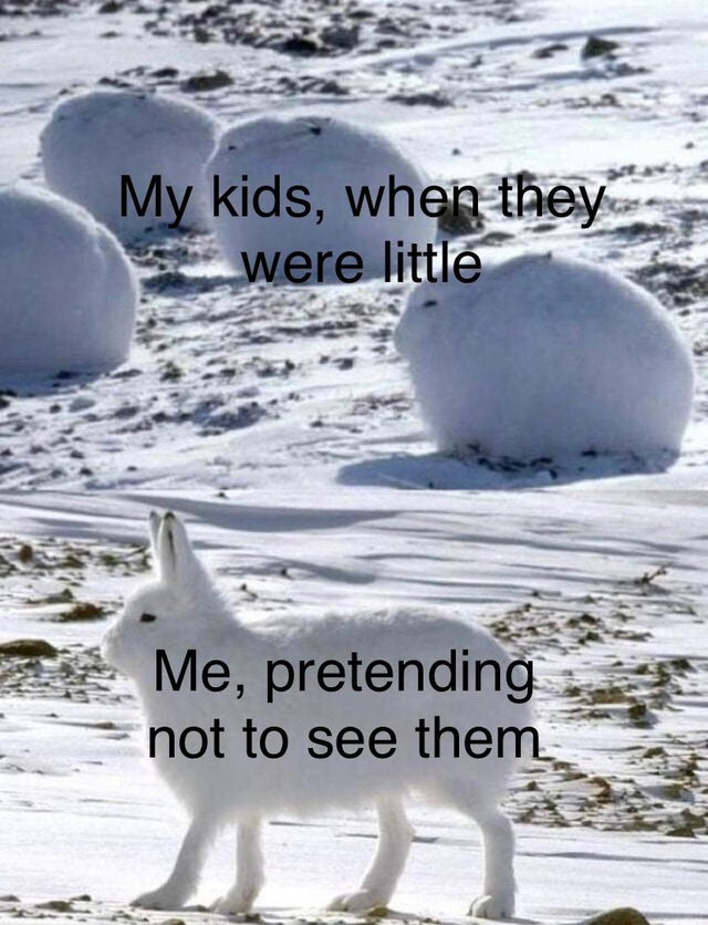 wholesome - arctic hares - My kids, when they were little Me, pretending not to see them