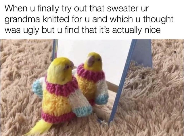 wholesome - When u finally try out that sweater ur grandma knitted for u and which u thought was ugly but u find that it's actually nice