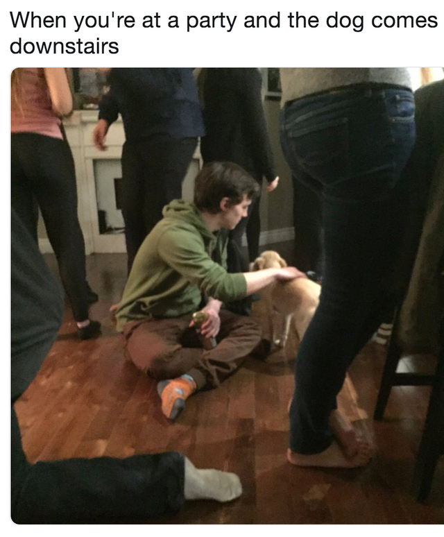 wholesome - your at a party and the dog comes downstairs - When you're at a party and the dog comes downstairs