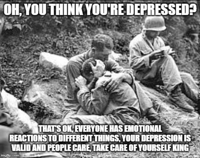 wholesome - war friendship - Oh, You Think You'Re Depressed? That'S Ok, Everyone Has Emotional Reactions To Different Things Your Depression Is Valid And People Care, Take Care Of Yourself King imgflip.com