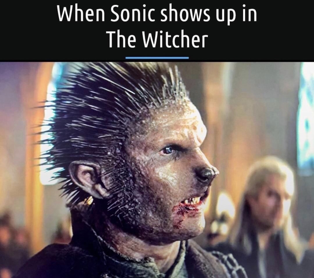 photo caption - When Sonic shows up in The Witcher