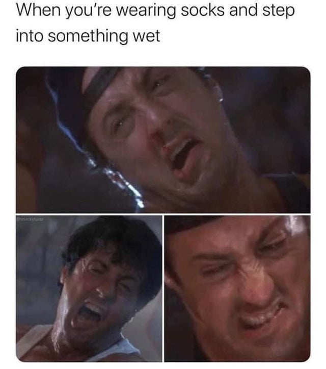 stallone meme - When you're wearing socks and step into something wet