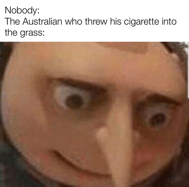 edgy memes m - Nobody The Australian who threw his cigarette into the grass