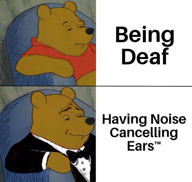 brooklyn 99 meme - Being Deaf Having Noise Cancelling Ears