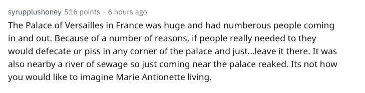 nsfw history - syrupplushoney 516 points. 6 hours ago The Palace of Versailles in France was huge and had numberous people coming in and out. Because of a number of reasons, if people really needed to they would defecate or piss in any corner of the palac