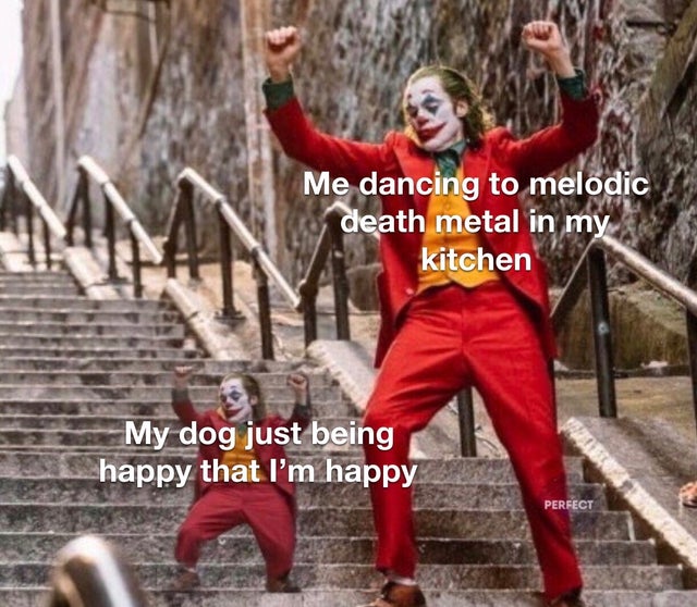 clean meme - joker joaquin phoenix scence - Me dancing to melodic death metal in my kitchen My dog just being happy that I'm happy Perfect