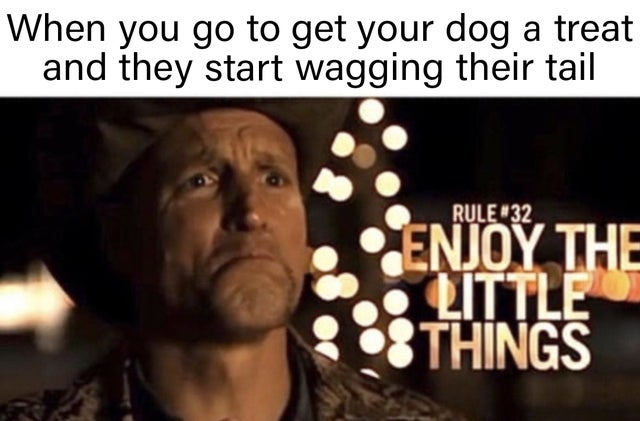clean meme - photo caption - When you go to get your dog a treat and they start wagging their tail Rule 132 Enjoy The O Little Things