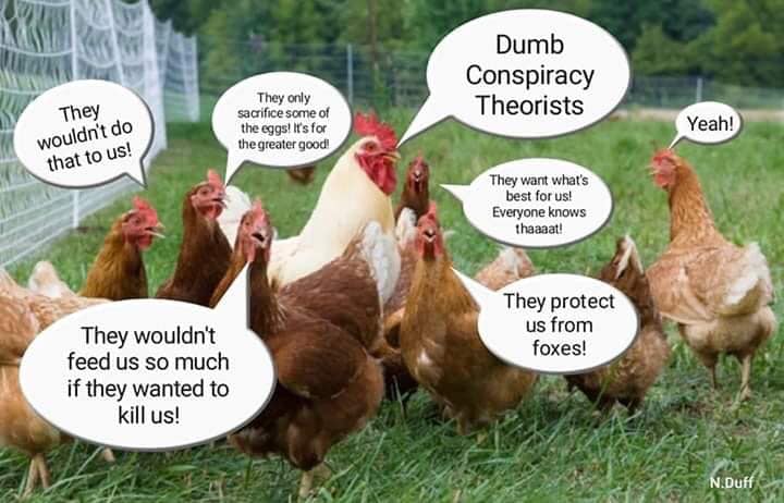 domestication of chickens - Dumb Conspiracy Theorists They only sacrifice some of the eggs! It's for the greater good They wouldn't do that to us! Yeah! They want what's best for us! Everyone knows thaaaat! They protect us from foxes! They wouldn't feed u
